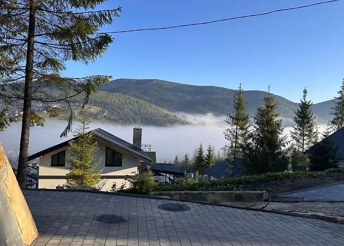 348 Palyanytsya